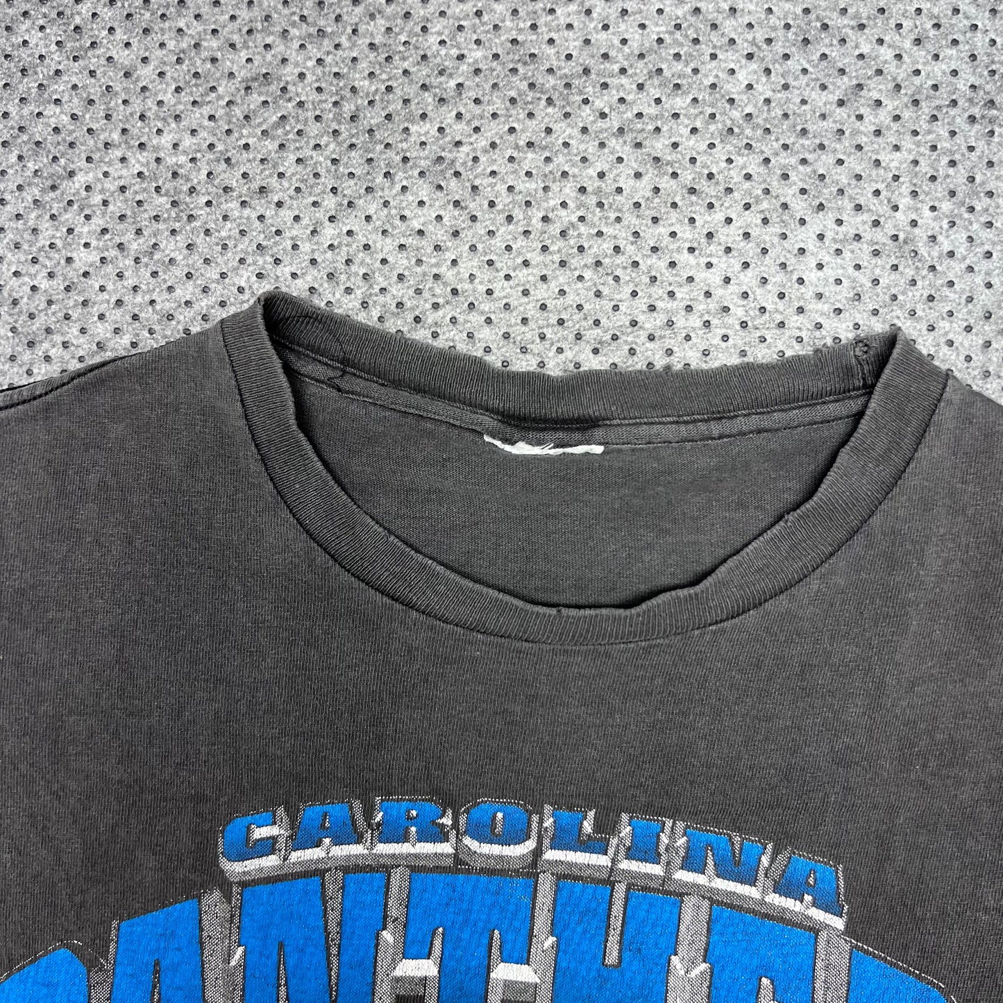 Vintage 1993 Nutmeg Carolina Panthers Realistic 3-D Mascot Tee M